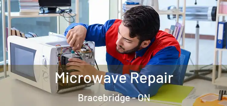 Microwave Repair Bracebridge - ON