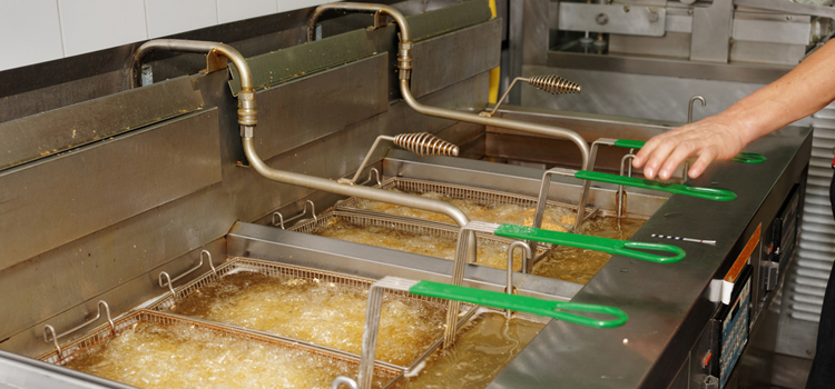 Commercial Fryer Repair in Bracebridge
