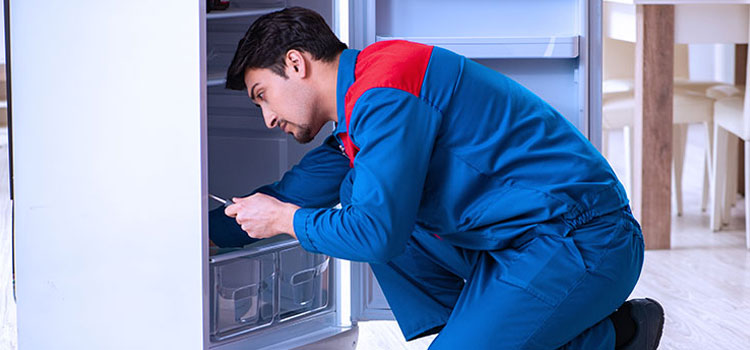 Freezer Repair Services in Bracebridge